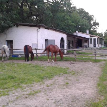 Ferme Equestre Des Abrons Villa Pailloles Bagian luar foto