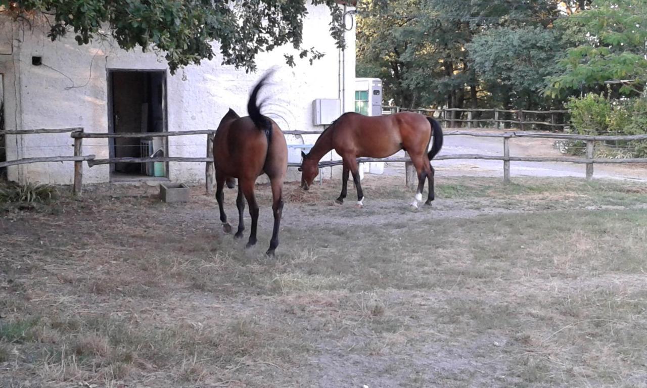 Ferme Equestre Des Abrons Villa Pailloles Bagian luar foto