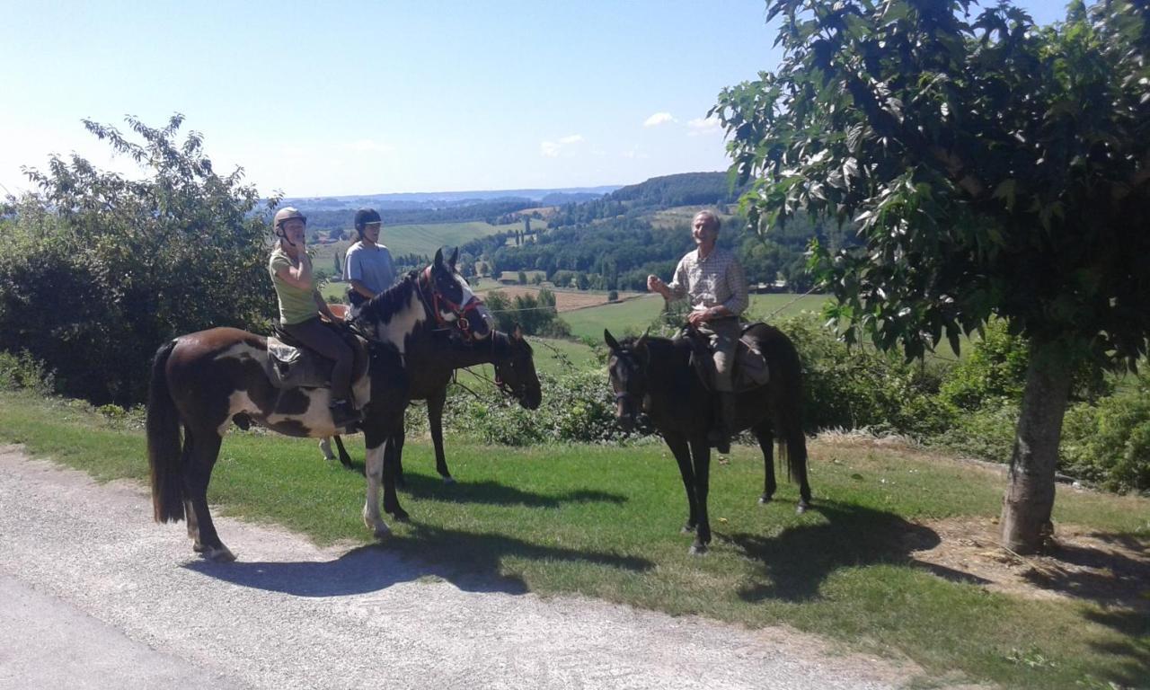 Ferme Equestre Des Abrons Villa Pailloles Bagian luar foto