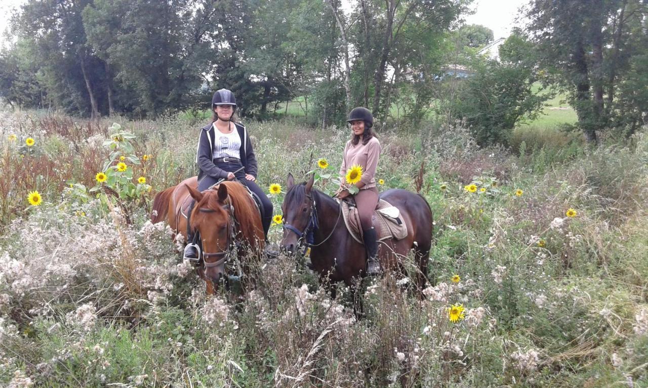 Ferme Equestre Des Abrons Villa Pailloles Bagian luar foto