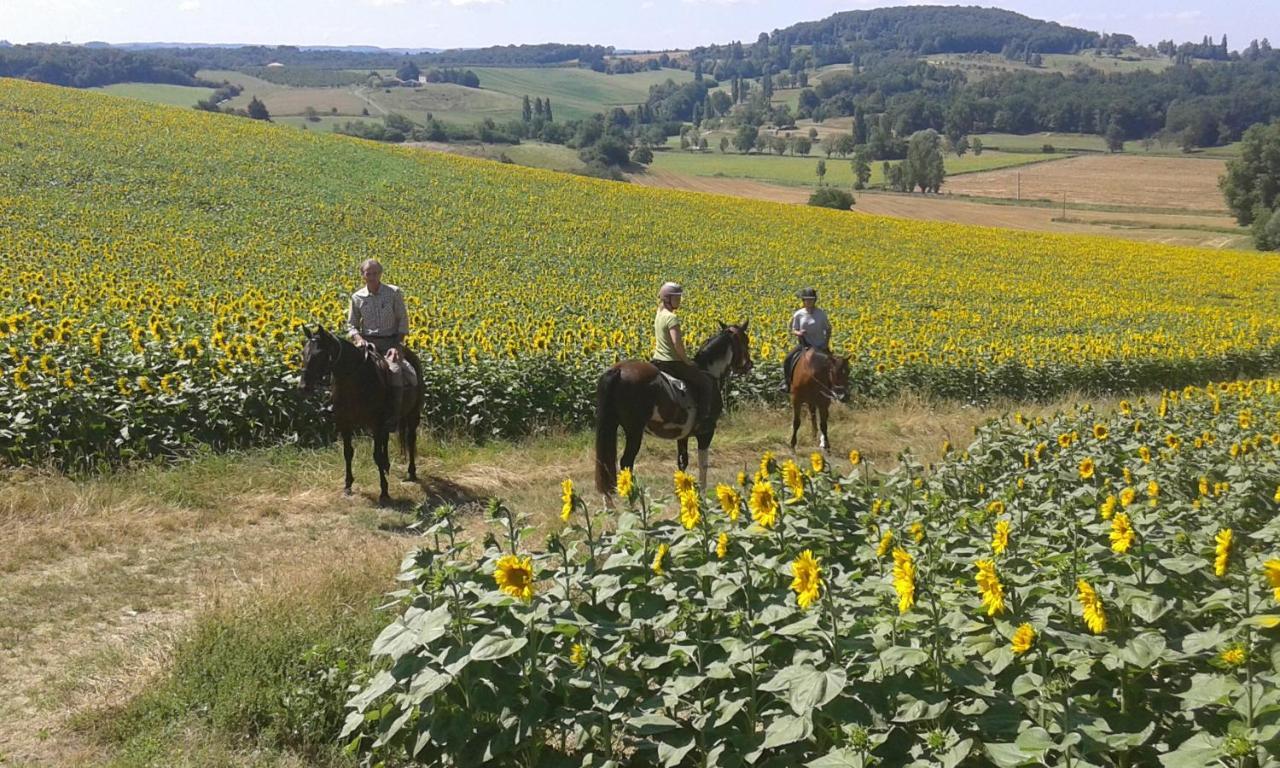 Ferme Equestre Des Abrons Villa Pailloles Bagian luar foto
